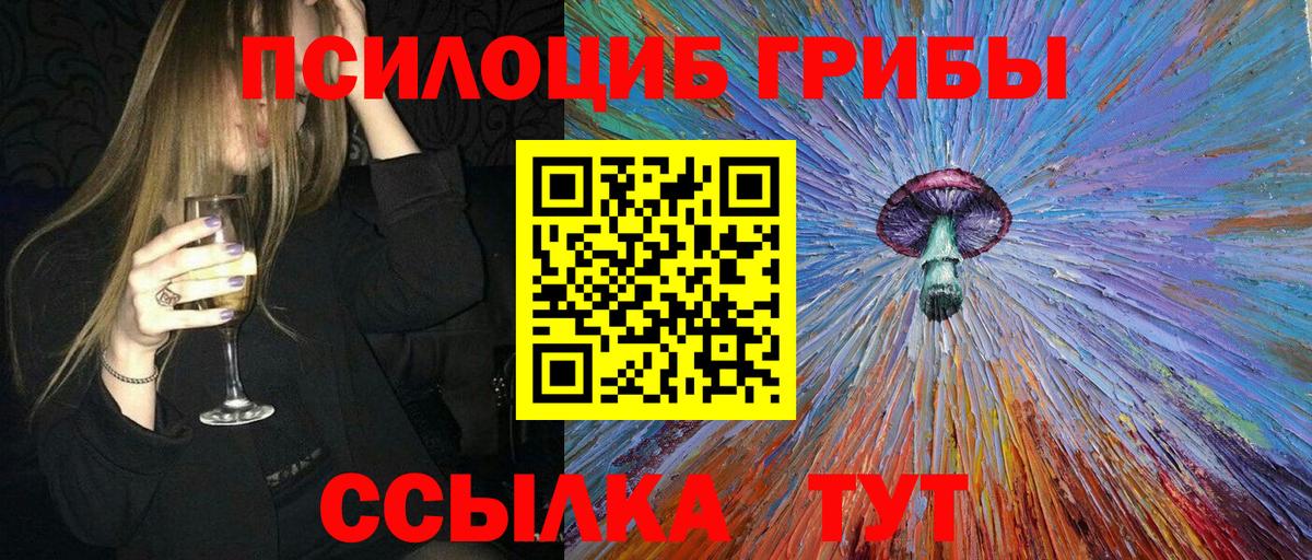 где найти наркотики  Вход с VPN  Ревда  Псилоцибиновые грибы прущие грибы 
